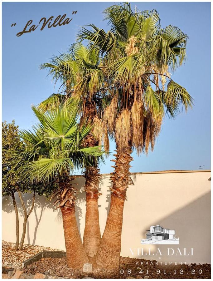 Villa Dali La Garde 260M2 Jacuzzi, Sauna, Piscine, Jardin 500M2, 5 Minutes De La Plage المظهر الخارجي الصورة